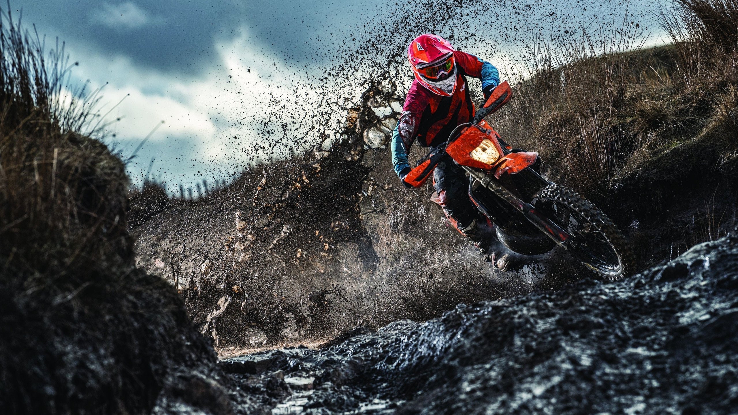 开云体育入口-季后赛新魔王！莫兰特用死亡突破撕碎防线，他的极限到底在哪？